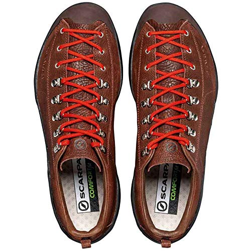 Scarpa Mojito, Zapatillas de Trail Running Hombre, Rock Rum Leather BM Spider, 38 EU