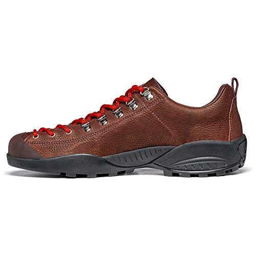 Scarpa Mojito, Zapatillas de Trail Running Hombre, Rock Rum Leather BM Spider, 38 EU