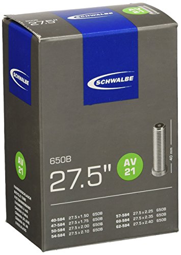 Schwalbe Cámara de Aire para Bicicleta Sv7b EK 40 Mm, Unisex Adulto, Negro, 20 x 0,90/1 (23/25-451)