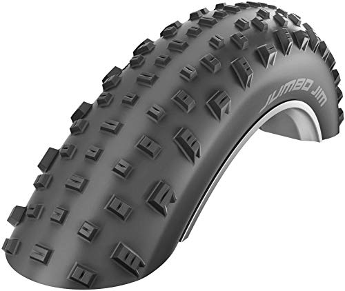 Schwalbe Neumáticos para Bicicleta, Adultos Unisex, Schwarz, Faltreifen, 100-559 (26×4,00´´)