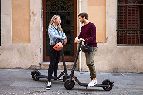 SEGWAY-Ninebot Kickscooter E22E