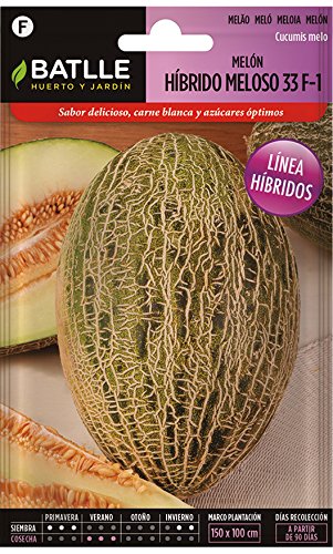 Semillas Hortícolas Híbridas - Melón Meloso Híbrido - Batlle