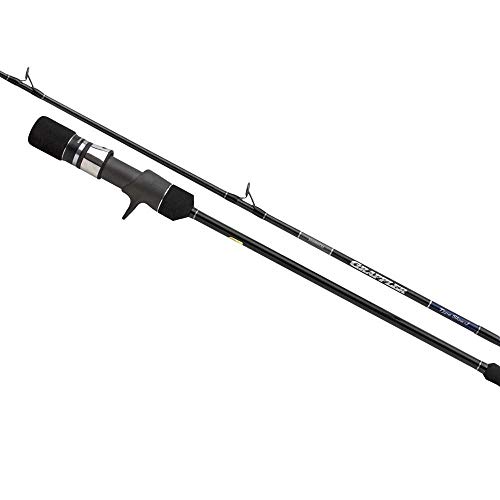 SHIMANO Canne Jigging Baitcasting 20 Game Type Slow Jig Cast 198cm - 128g - P.MAX.200g - TR.151cm - 20GAMETSJB662