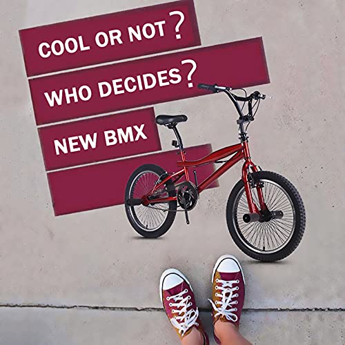 SHTST Pro Cruiser Retro Design BMX Bike, Velocidad Simple, Marco de Acero de Alto Carbono, Ruedas de 20 Pulgadas, Adecuado para niños, Adultos (Color : Black)