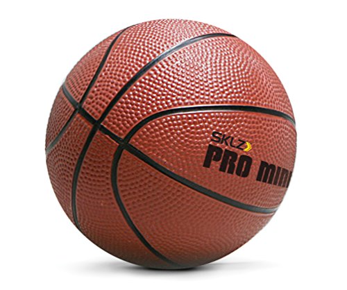 SKLZ Canasta Interior, Basketballkorb Pro Mini Hoop XL, Mehrfarbig, NSK000008, White and Black, XL (58 x 40 cm)