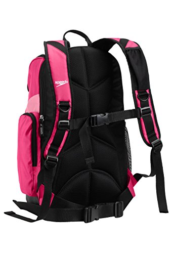 Speedo Mochila grande unisex para adultos, 35 litros, Unisex, USX35LTEAMSTERBP, Fucsia Purple/Azalea Pink, Talla única