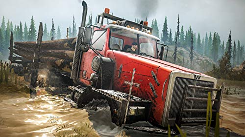 Spintires: Mudrunner American Wilds Edition - PlayStation 4 [Importación alemana]