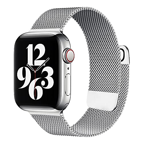 sresrrw Correa magnética de Malla de Acero Inoxidable Compatible con Apple Watch 42mm 44mm 45mm,Bandas para iWatch Series 7 6 5 4 3 2 1 SE para Mujeres Hombres (Plata, 42mm/44mm/45mm)