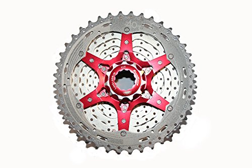 Sunrace CSMX3 Cassette para Bicicleta, 10 velocidades, Gris, Talla Única