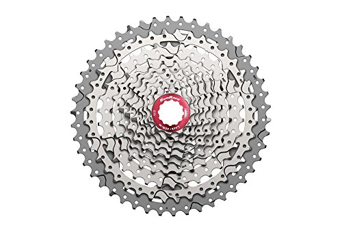 Sunrace CSMX3 Cassette para Bicicleta, 10 velocidades, Gris, Talla Única