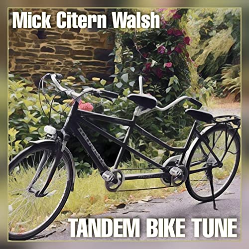 Tandem Bike Tune