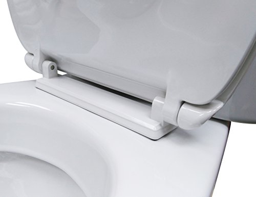 Tapa Wc Forma O Universal - Bisagra Ajustable - Fácil Instalación y Limpieza - Asiento Inodoro Muy Resistente - Blanco - 43 x 36 x 5,5 cm