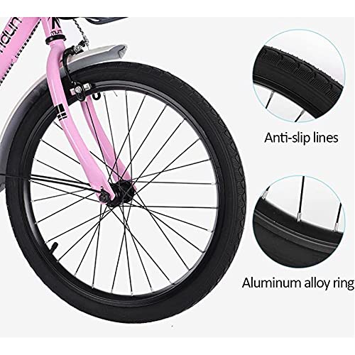 TBNB Bicicleta de Crucero para niñas de 16 a 22 Pulgadas con Canasta y Asiento Trasero, Bicicletas de Carretera para Exteriores para Adolescentes y niños, Rosa, Blanco, Beige (Rosa de 20 Pulgadas