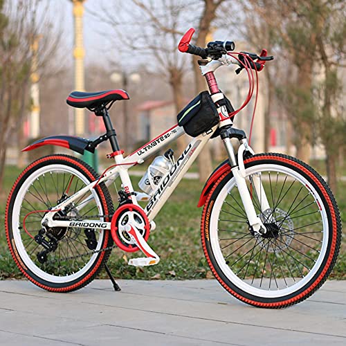 TBNB Bicicletas de montaña para Hombres y Mujeres para Adultos de 26 Pulgadas, Frenos de Disco Doble, Bicicletas de montaña para jóvenes de 21 velocidades, Bicicletas de Carretera para Deportes a