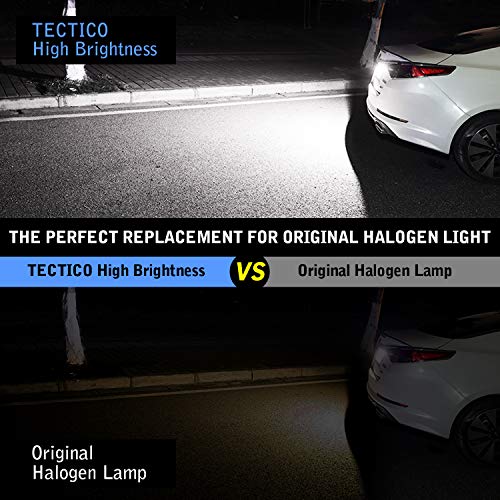 TECTICO LED Luces matrícula coche E-Mark ECE 6000K Blanco puro canbus No hay error Luz de matrícula Compatible con FORD Focus MK2 Mondeo MK4 Fiesta MK7 Kuga S-MAX, 2 piezas