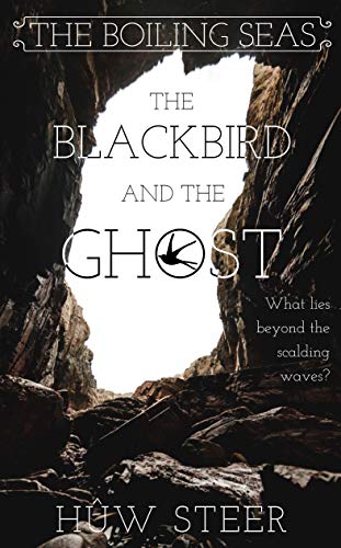 The Blackbird And The Ghost: The Boiling Seas (English Edition)