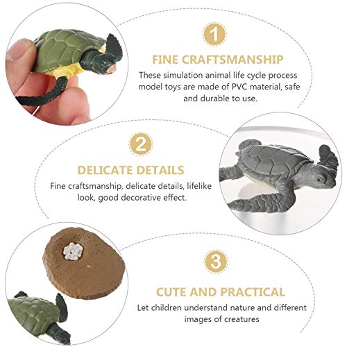 Toddmomy 4 Piezas de Ciclo de Vida Conjunto de Tortuga Océano Animal Marino Crecimiento Ciclo de Vida Modelo Figura Aprendizaje Educativo Animal Océano Ciencia Juguetes para Niños Pequeños