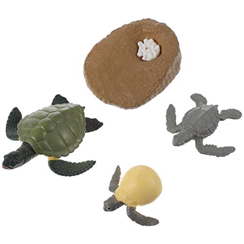 Toddmomy 4 Piezas de Ciclo de Vida Conjunto de Tortuga Océano Animal Marino Crecimiento Ciclo de Vida Modelo Figura Aprendizaje Educativo Animal Océano Ciencia Juguetes para Niños Pequeños