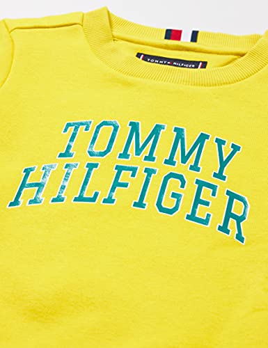 Tommy Hilfiger Hilfiger Artwork Sweatshirt Suéter, Valley Yellow, 4 para Hombre