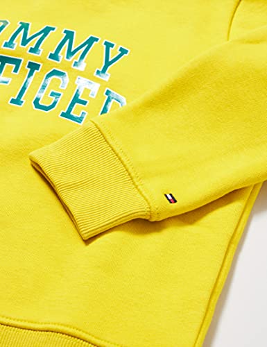 Tommy Hilfiger Hilfiger Artwork Sweatshirt Suéter, Valley Yellow, 4 para Hombre