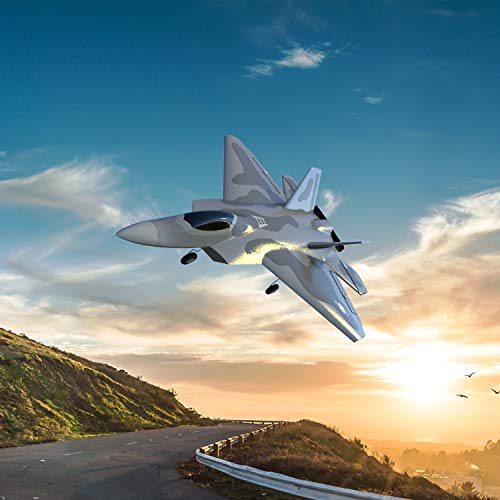 Top Race RC Fighter Jet, Avión RC de 4 canales listo para volar para adultos, Avión RC de alta velocidad, Listo para volar Hobby RC Avión adulto TR-F22B