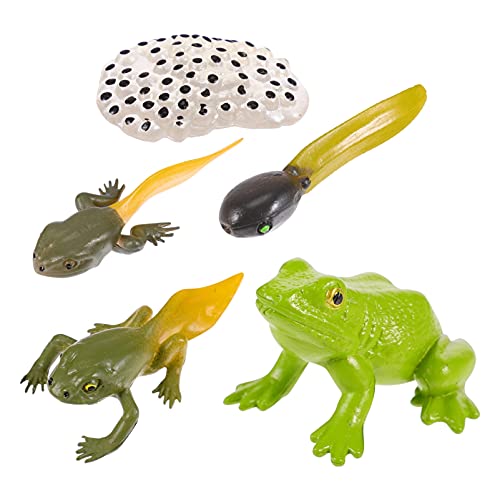 TOYANDONA 1 Juego de Figuras del Ciclo de Vida Animal del Ciclo de Crecimiento de La Rana Figura Modelo Biológico Juguetes Figura Modelo de Crecimiento Animal Juguetes de Desarrollo