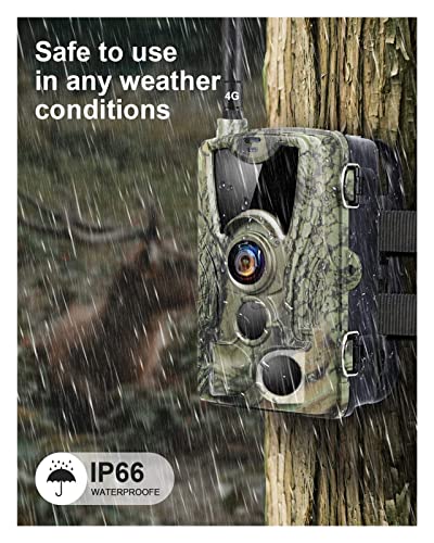 Trail camera Gratis APP 4G Cámara de senderos for monitoreo de vida silvestre 2k 30mp Vigilancia de la caza de la vida silvestre Cámaras inalámbricas celulares HC801 Más ( Color : E-U )