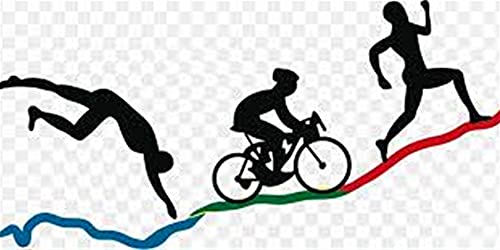 Triatlón con triatlón para hombres, traje de una pieza, ciclismo/triatlón, traje de manga corta de manga corta, traje de jersey de bicicleta (Color : D, Size : SMALL)