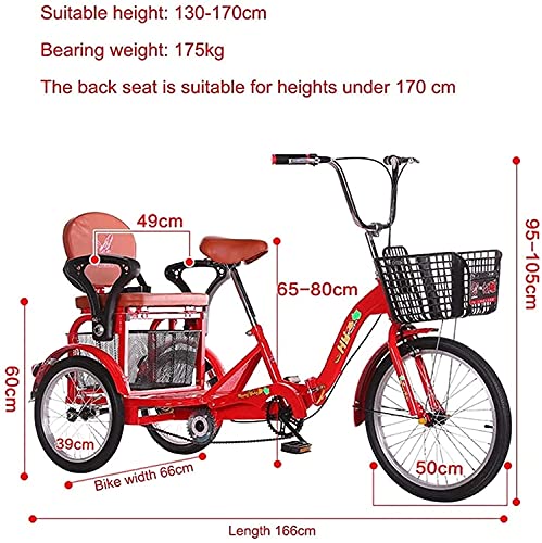 Triciclo de 3 ruedas para adultos - TRIKE CRUISER Bicicleta plegable de 3 ruedas para triciclo de adultos triciclos de bicicleta de doble cadena con frenos de doble unidad con manillar ajustable asien