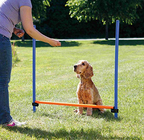 Trixie 3207 Vallas Agility, Regulable,129 x 115 cm, Azul y Naranja