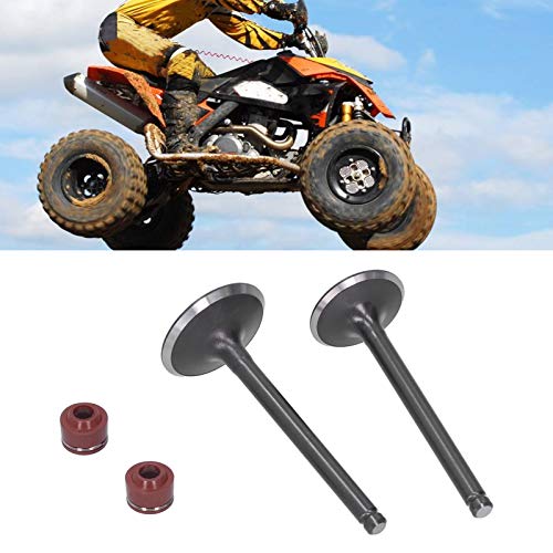 Válvula de escape de admisión de cabeza de motor, válvula de escape de admisión de cabeza de motor, sellos de vapor aptos para motor de 140 cc, PIT PRO PIT, pista de bicicleta, Dirt Bike, Thumpstar, Q