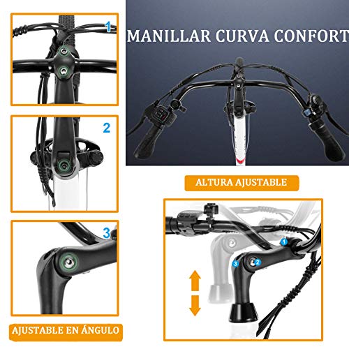 VIVI Bicicleta Eléctrica 26" Bicicleta Eléctrica de Crucero/Bicicleta Eléctrica de Ciudad 250W Bici Electrica con Batería Extraíble de 8Ah, Engranajes De 7 Velocidades (Negro)