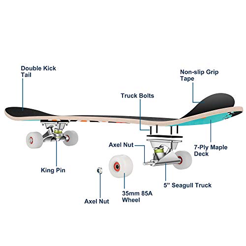 WeSkate Completo Skateboard para Principiantes, 80 x 20 cm 7 Capas Monopatín de Madera de Arce con rodamientos ABEC-7 Tabla de Skateboard para Niñas Niños Adolescentes Adultos