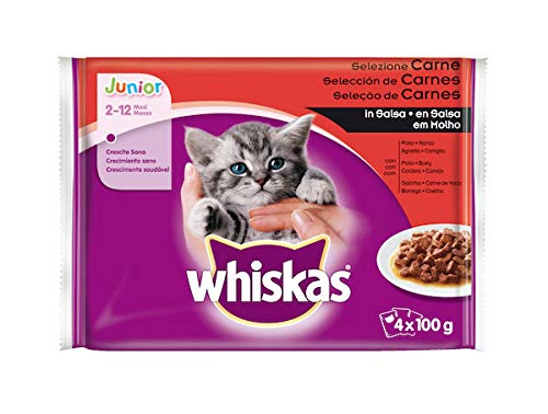 Whiskas Comida Húmeda para Gatos Junior Selección Carnes en Gelatina, Multipack (Pack de 13 x 4 bolsitas x 100g)