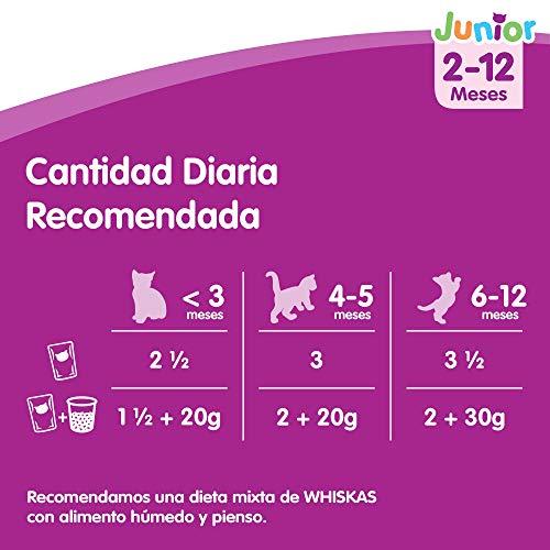 Whiskas Comida Húmeda para Gatos Junior Selección Carnes en Gelatina, Multipack (Pack de 13 x 4 bolsitas x 100g)