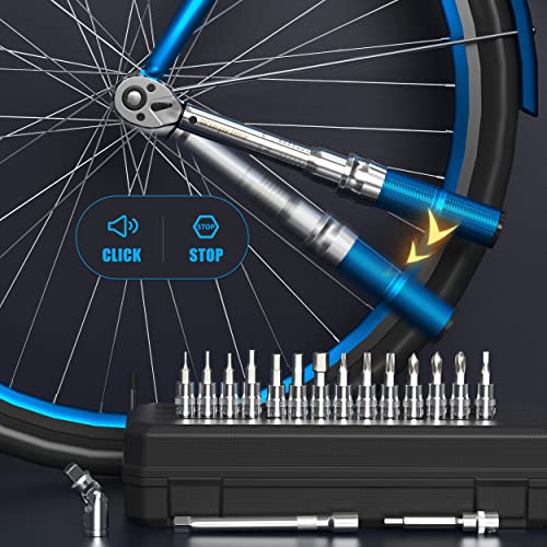 Wieprima Llave dinamométrica para bicicleta con carraca reversible 1/4 pulgadas, 2-20 Nm, adaptador de torsión, llave de vaso con hexágono interior, para bicicleta, motocicleta, MTB
