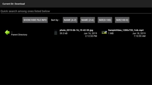 Wireless File Manager (Send Files to TV)