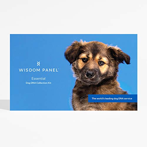 Wisdom Panel Essential - Prueba de ADN para Perros para ascendencia, rasgos y complicaciones médicas, 75 g