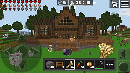 WorldCraft: Mini World Block Craft with Skins Export to Minecraft