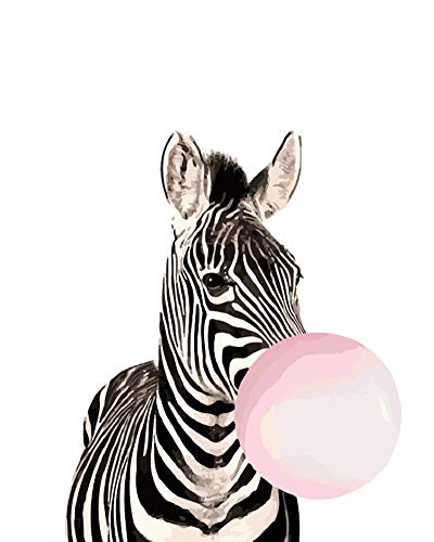 WOWDECOR DIY - Cuadro para Pintar por números, para Adultos, niños, niñas, Cebra con ampollas 40 x 50 cm, preimpreso, Lienzo de Pintura al óleo, Zebra Weht Blasen A, mit Rahmen