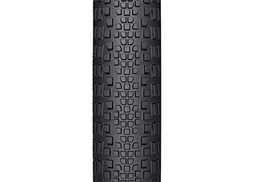 WTB Neumático Riddler Tless Ready (Tcs Light) Flanc Skin 700x45c Bicicleta, Unisex Adulto, Negro/Beige, 700x45