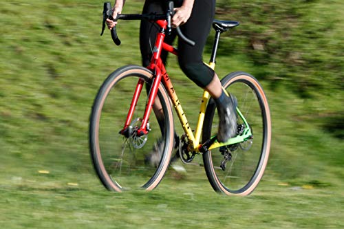 Wtb Resolute Neumático de Bicicleta, Unisex, Paredes de Piel marrón, 700 x 42