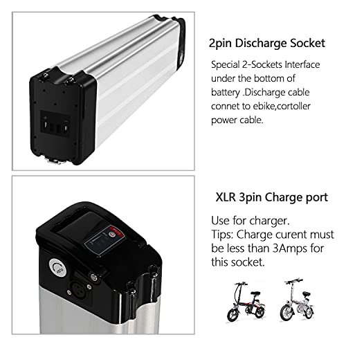 X-go Batería de ion de litio Silver Fish de 36 V y 10 Ah, con cargador para bicicletas eléctricas de 200 W, 35 W, 500 W y motores Pedelec (36 V, 10 Ah, 2 pines)