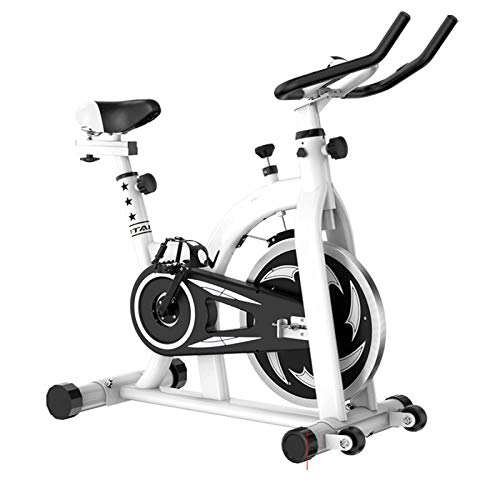 YUANP Bicicletas Estaticas Pequeñas,bicis Indoor Elípticas De Fitness Spinning Bicicleta Spinning Profesional Baratas Mejor Bicicleta Estatica Bici Estática Indoor,White