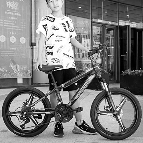 YUCHEN- Bicicletas de bicicletas for hombres niño estudiante al aire libre bicicleta parque ocio bicicleta fuera de la carretera bicicleta de montaña 20 pulgadas variable velocidad  u200b  u200bicic