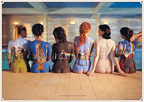 1art1 Pink Floyd - Back Catalogue Póster (91 x 61cm)