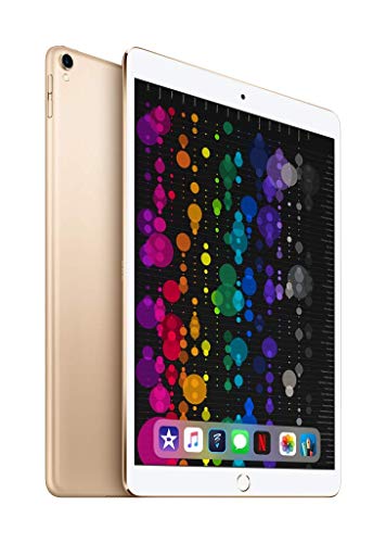 2017 Apple iPad Pro (10.5-pulgadas, Wi-Fi, 256GB) - Gris Espacial (Reacondicinado)