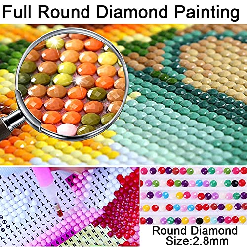 5D Diamond Painting talla grande Búhos voladores Kits, de Punto de Cruz Diamante Kits de Pintura para Adultos Rhinestone Cristal Bordado Diamante Arte Para Decoración de Pared 70x200cm