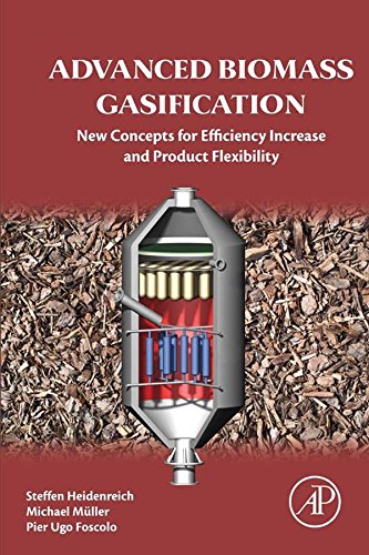Advanced Biomass Gasification: New Concepts for Efficiency Increase and Product Flexibility (English Edition)