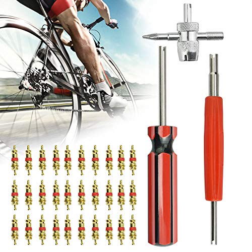 AFASOES 33 Pcs, 30 x Valvulas para Neumaticos +1 x Herramienta de Reparación Acero 4 Llaves + 1x Destornillador +1 x Removedor para Nucleo de Valvula para Bicicleta Coche Moto para Quitar Obus Valvula